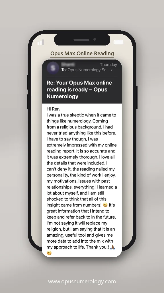 Client review of the Opus Max online reading (email reply) – 2 / 2